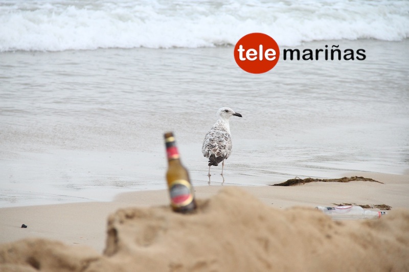 san_juan_13panxon2016