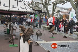 arribada2017 baiona18