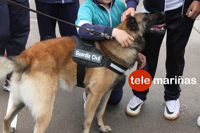 visita_guardia_civil_aguarda2